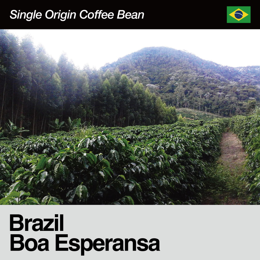 Brazil(ブラジル)/Boa Esperansa（ボア・エスペランサ）