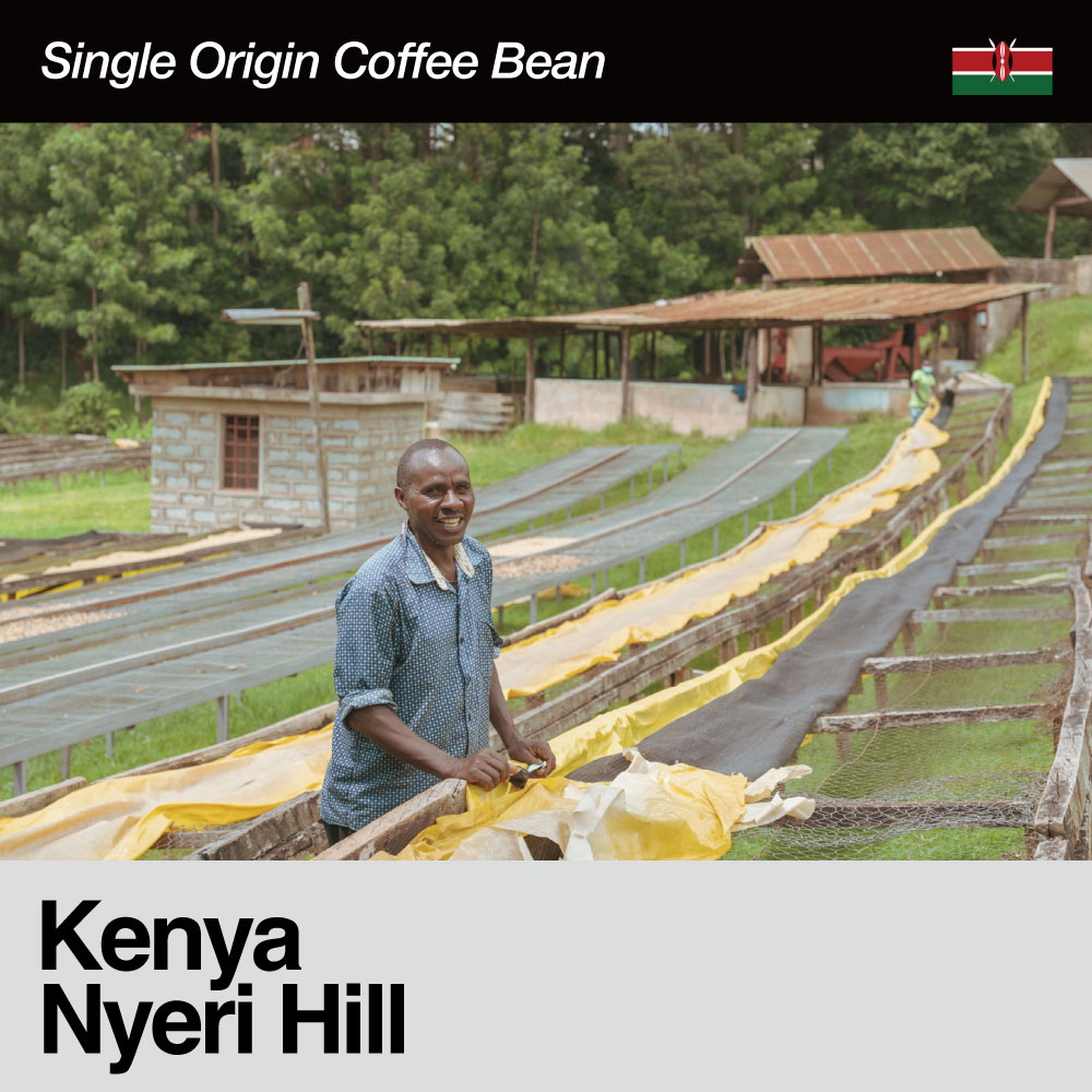 Kenya(ケニア) / Nyeri Hill(ニエリヒル）