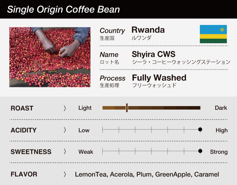 Rwanda(ルワンダ)/Shyira CWS(シーラ・コーヒーウォッシングステーション)