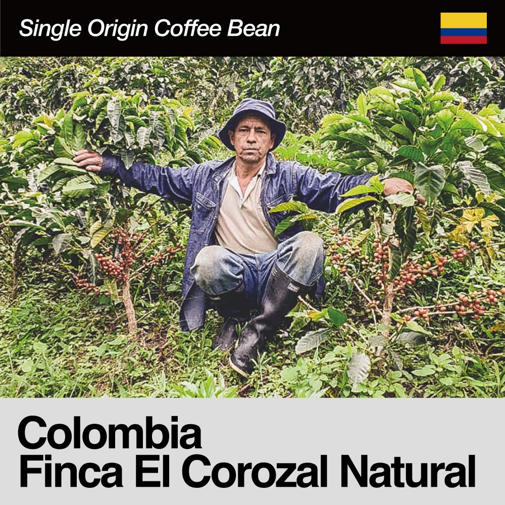 Colombia/Finca El Corozal Natural(コロンビア/フィンカ・エル・コロサル・ナチュラル)