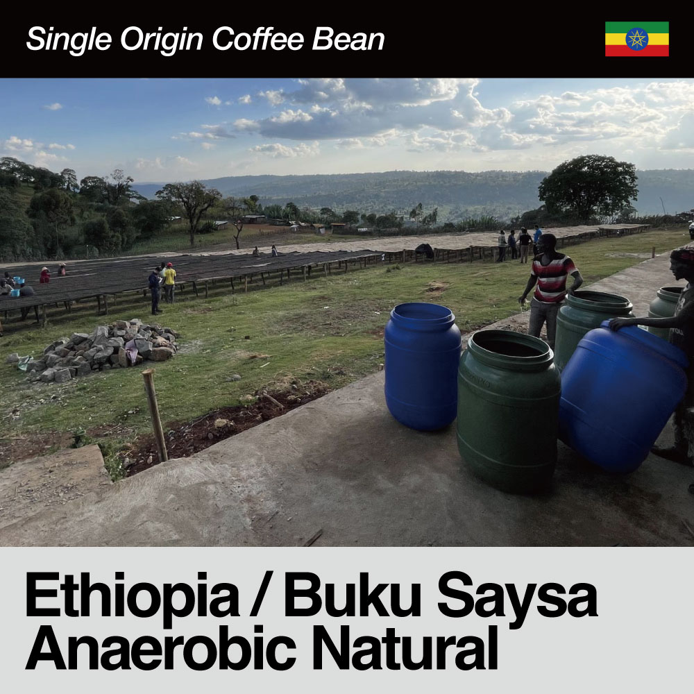Ethiopia/Buku Saysa Anaerobic Natural〈エチオピア/ブク・サイサ・アナエロビック・ナチュラル〉