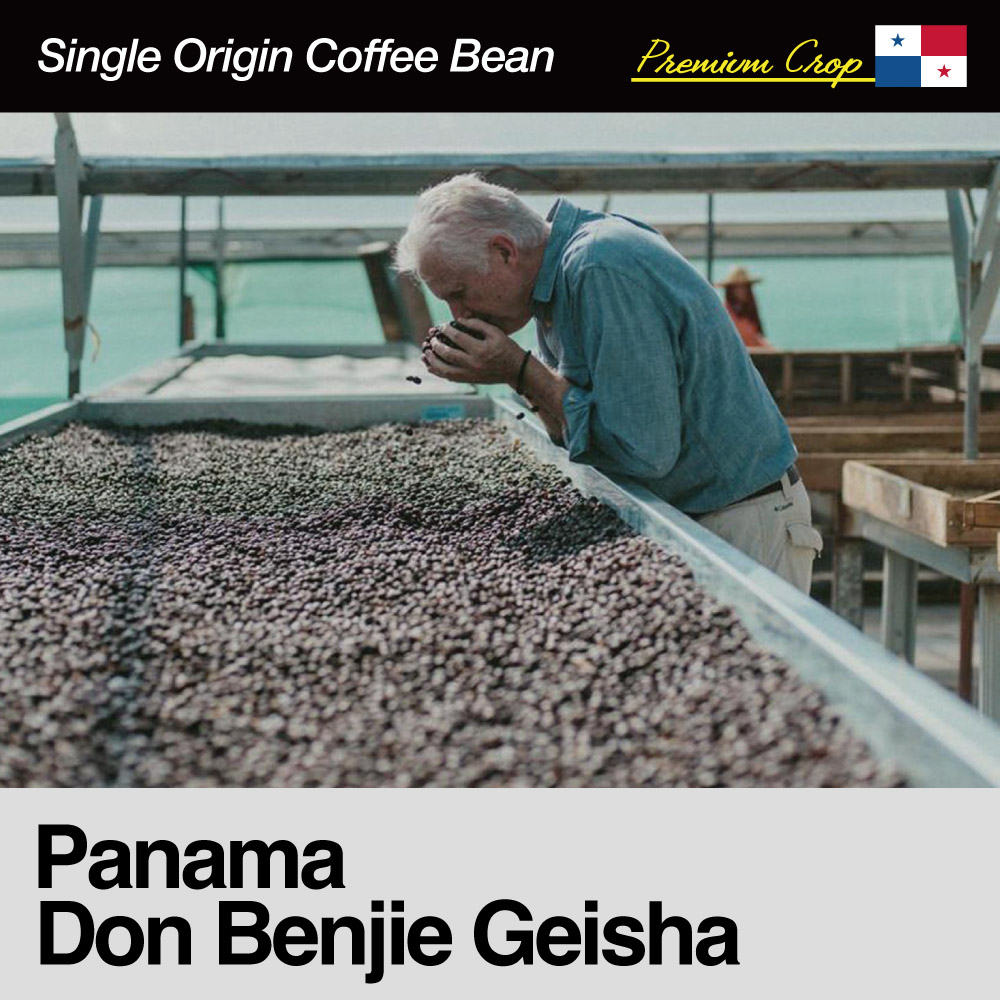 Panama/Don Benjie Geisha Natural Carbonic Maceration〈ドン・ベンジー・ゲイシャ・ナチュラル・カーボニックマセレーション〉