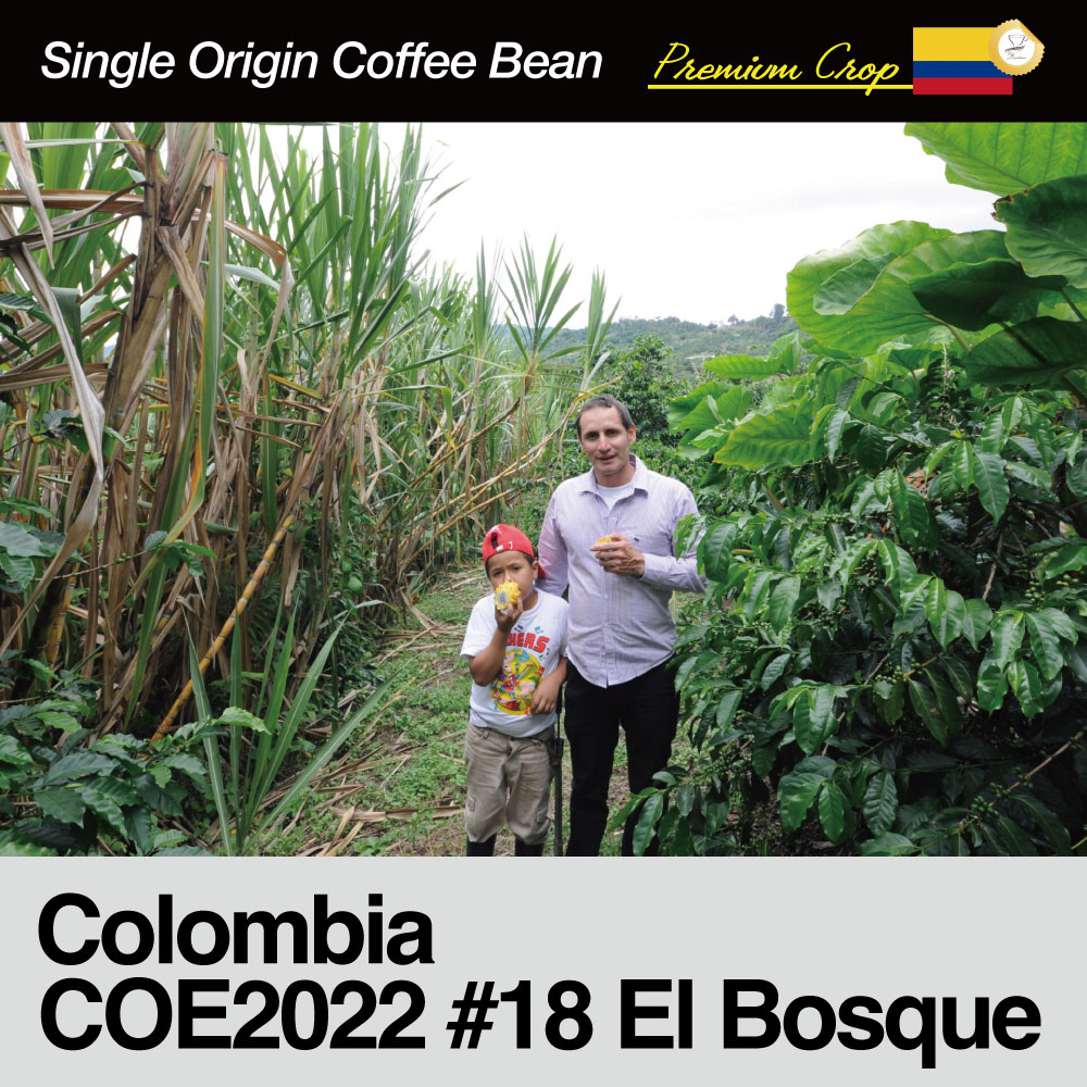 Colombia / COE2022 #18 El Bosque Pink Bourbon〈コロンビア / COE2022 #18 エル・ボスケ・ピンクブルボン〉