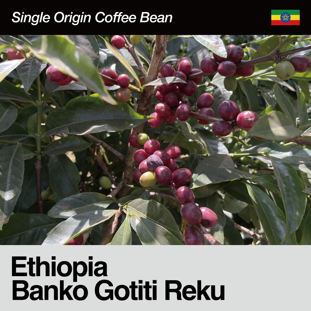 Ethiopia / Banko Gotiti Reku(エチオピア / バンコ・ゴティティ・レク）