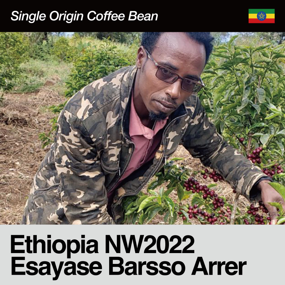 Ethiopia / NW2022 Esayase Barsso Arrer(エチオピア / エサヤセ・バルソ・アレール）