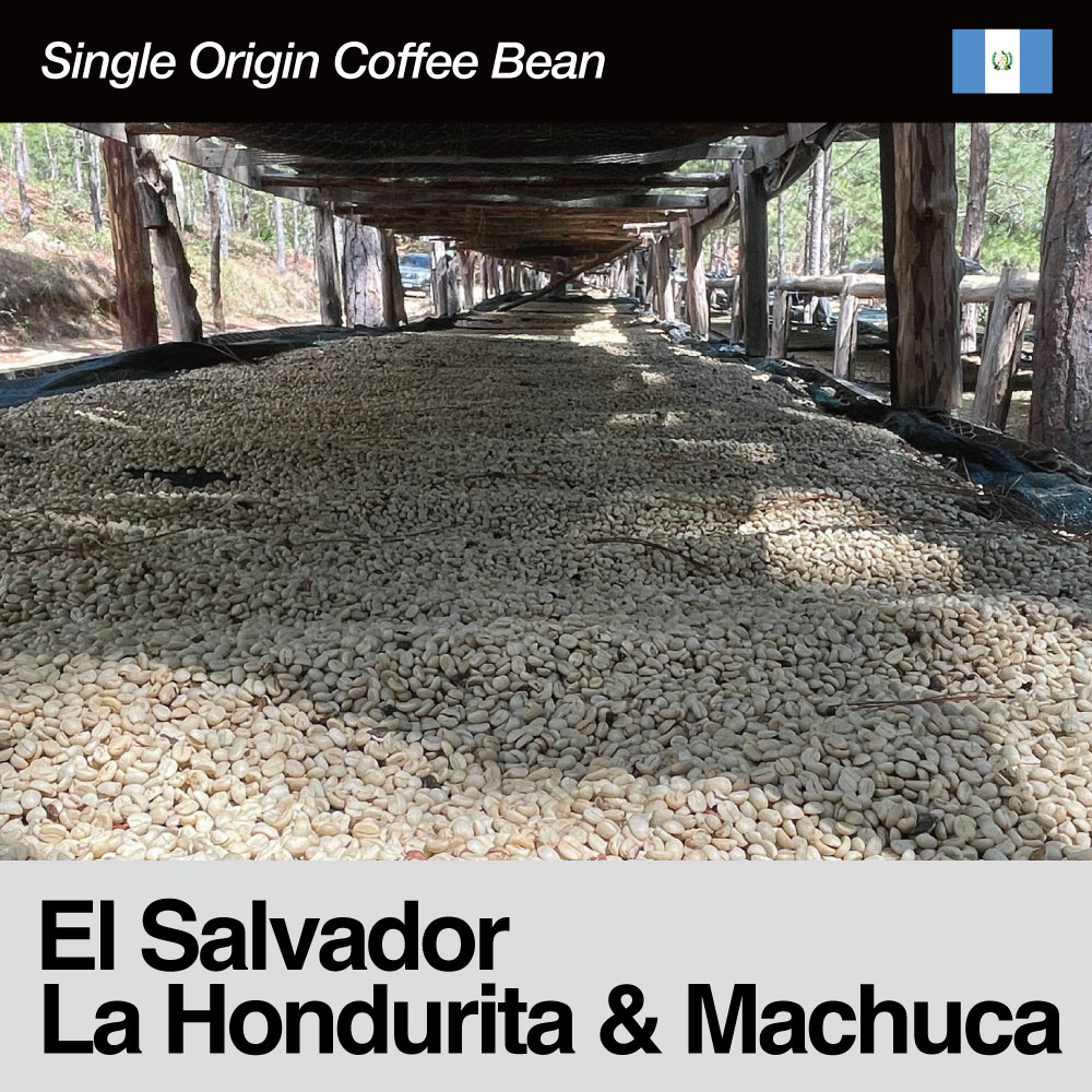 El Salvador / La Hondurita & Machuca Pacamara Natural（エルサルバドル / ラ・ホンジュリータ & マチュカ・パカマラ・ナチュラル）