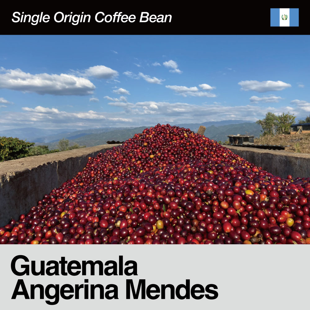 Guatemala / Angerina Mendes(グアテマラ / アンジェリーナ・メンデス）