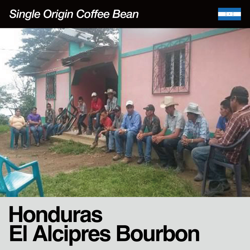 Honduras / El Alcipres Bourbon(ホンジュラス / エル・アルシプレス・ブルボン）