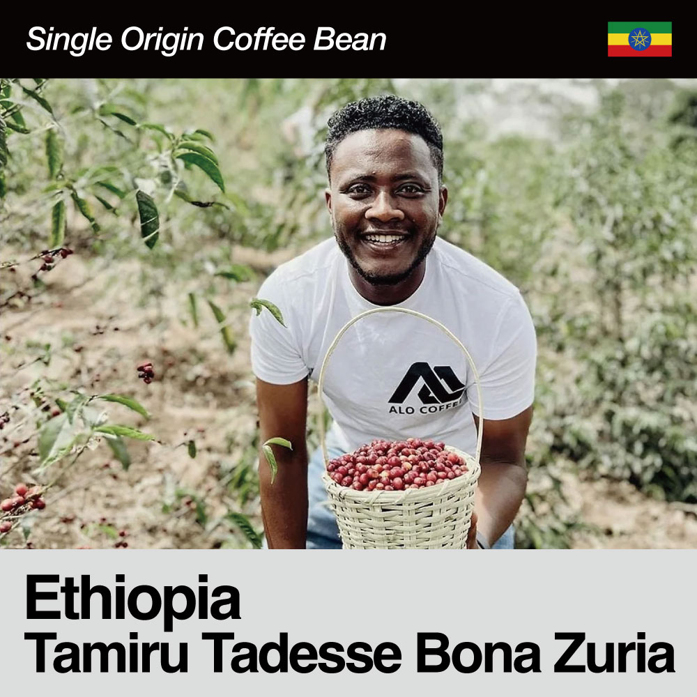 Ethiopia / Tamiru Tadesse Bona Zuria（エチオピア / タミル・タデッセ・ボナ・ズリア）