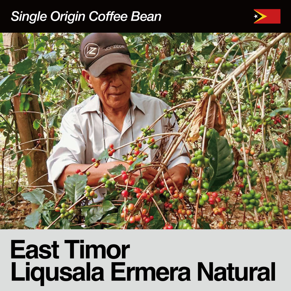 East Timor / Liqusala Ermera Natural（東ティモール / リクサラ・エルメラ・ナチュラル）