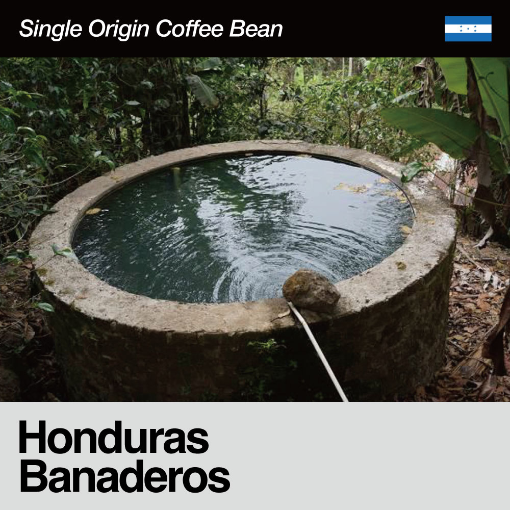 Honduras / Banaderos(ホンジュラス / バーニャデロス）