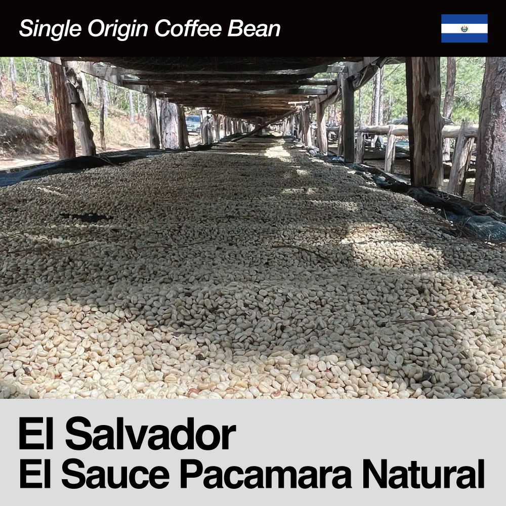 El Salvador / El Sauce Pacamara NaturaliGToh / GE\[XEpJ}Ei`j